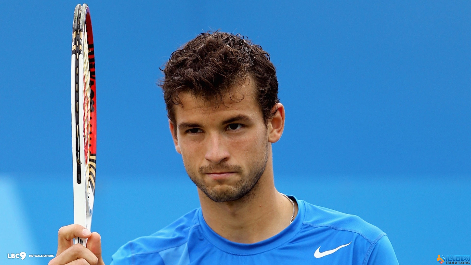 感与温情 感与温情